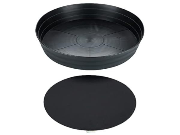 The Best Large Plant Saucers Of Reviews Findthisbest