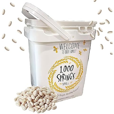 1000 Springs Mill feature image