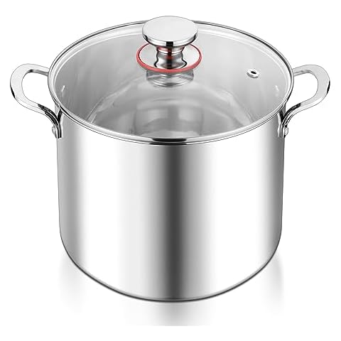 HOMICHEF 12 Quart LARGE Stock Pot with Glass Lid - NICKEL FREE Stainless  Steel Healthy Cookware Stockpots with Lids 12 Quart - Mirror Polished