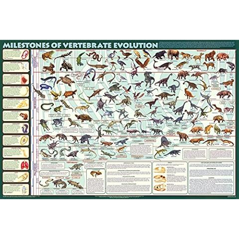 123Posters.com thumbnail