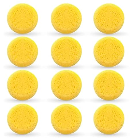 Penta Angel Painting Sponges 6PCS Round Foam Painting Brushes