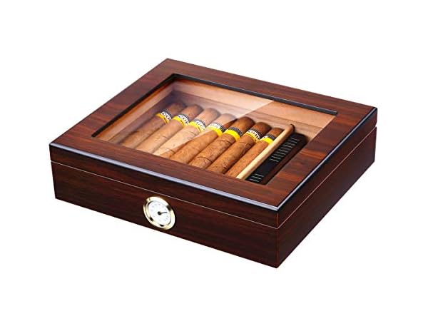 The 10 Best 25 Cigars Cigar Humidors Of 2024 Reviews Findthisbest