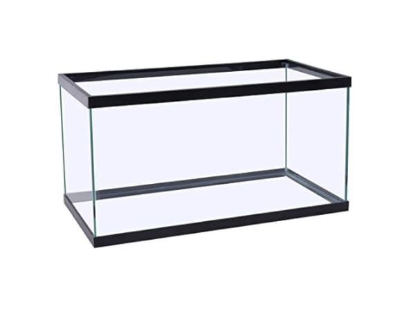 The 10 Best 29-Gallon Aquariums of 2024 (Reviews) - FindThisBest