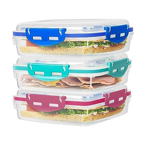 Youngever 3 Pack 20 Ounce Sandwich Containers, Reusable Food Storage  Containers, Meal Prep Containers, Single Sandwich