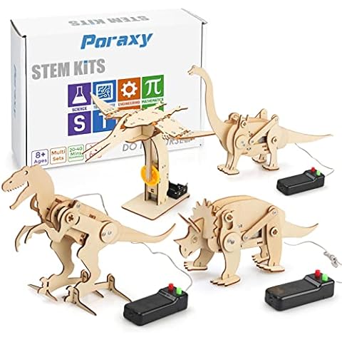  5 Set STEM Projects for Kids Age 8-12, DIY Robot Toys, STEM Kit,  3D Wooden Puzzles, Educational Science Experiment Building Kits, Gifts for  Boys and Girls 8, 9,10,11,12 Year Old : Toys & Games