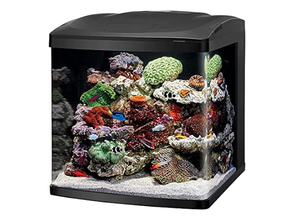 The 8 Best 40-Gallon Fish Tanks of 2026 (Reviews) - FindThisBest