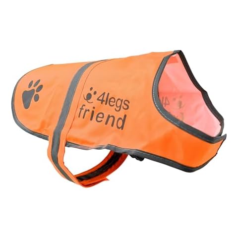 4LegsFriend thumbnail