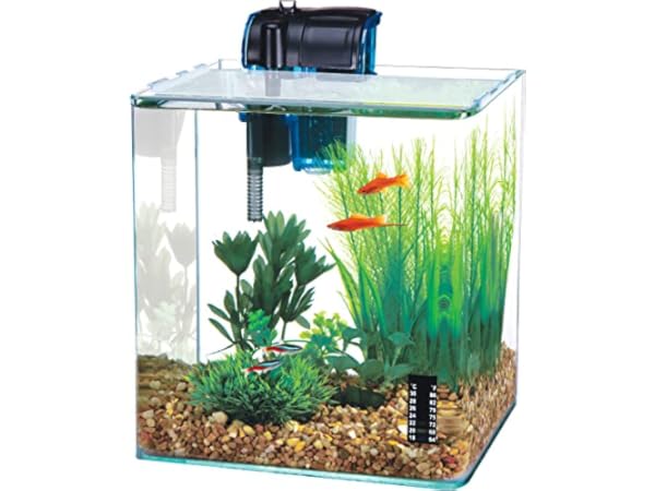 The 10 Best 5-Gallon Aquariums of 2023 (Reviews) - FindThisBest