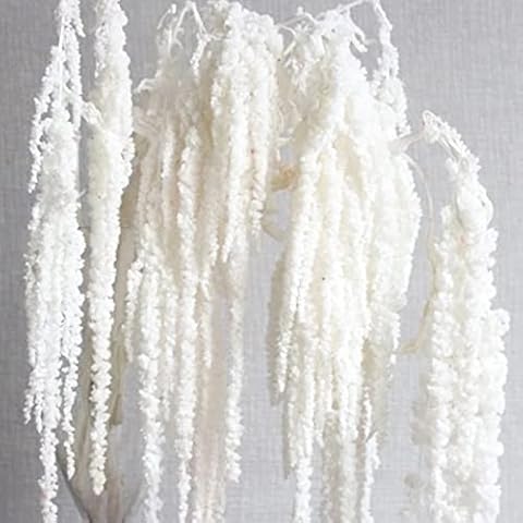 5 PCS Dried Preserved White Hydrangea Flowers - Length 14'' Corolla Size  3''-4'' Real Hydrangeas Petals Handmade for Vase, Arrangement Boho Style  Home