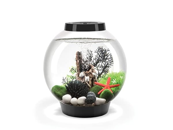 The 10 Best Acrylic Fish Tanks of 2026 (Reviews) - FindThisBest