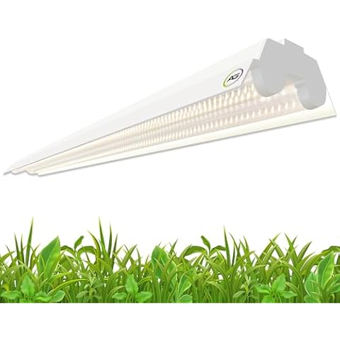 Active Grow thumbnail