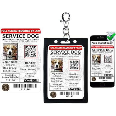 ActiveDogs.com thumbnail