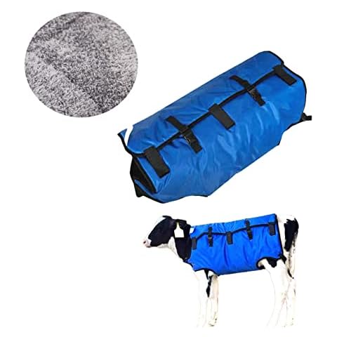 Adsuan feature image