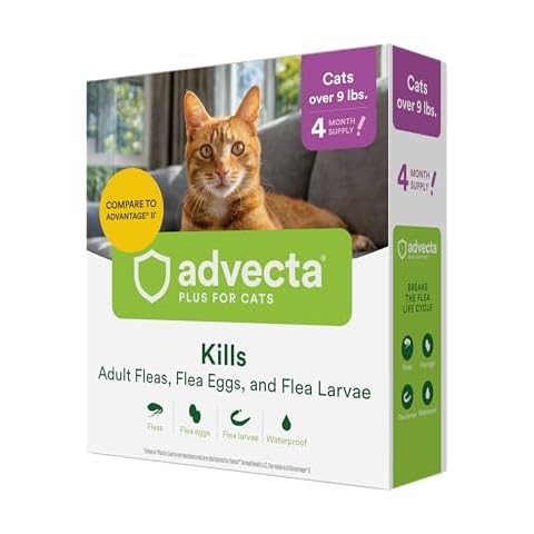 Advecta thumbnail