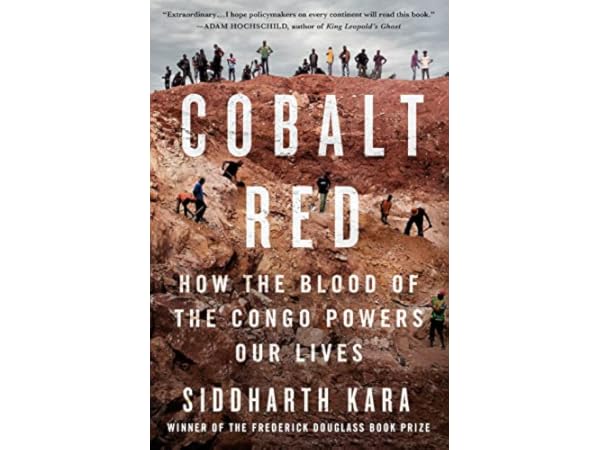 African Politics Books Thumbnail
