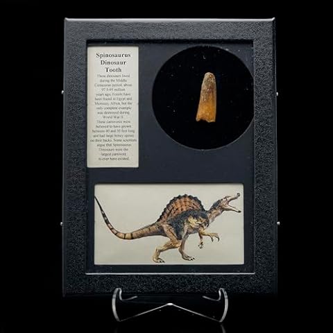 Ag Minerals thumbnail