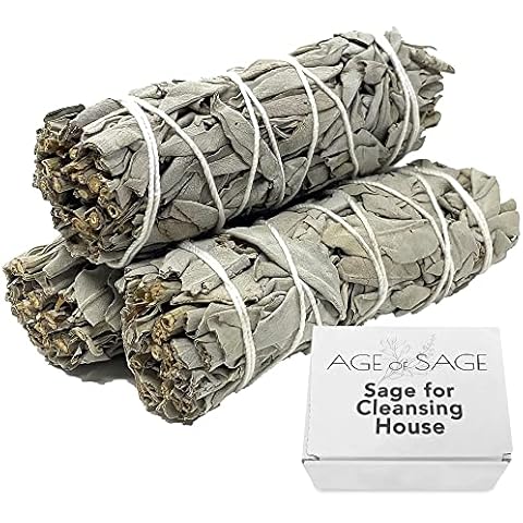 Age Of Sage thumbnail