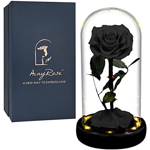 AINYROSE thumbnail