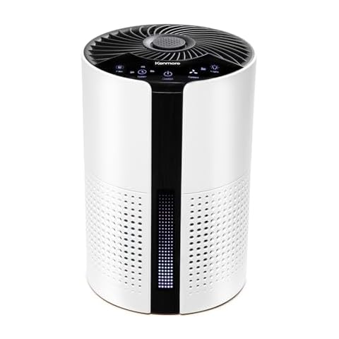 Air Purifiers for Kid Bedroom