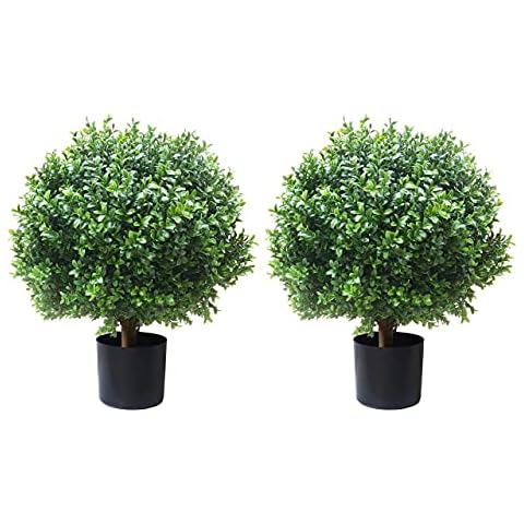 ALL SEASON GREEN thumbnail