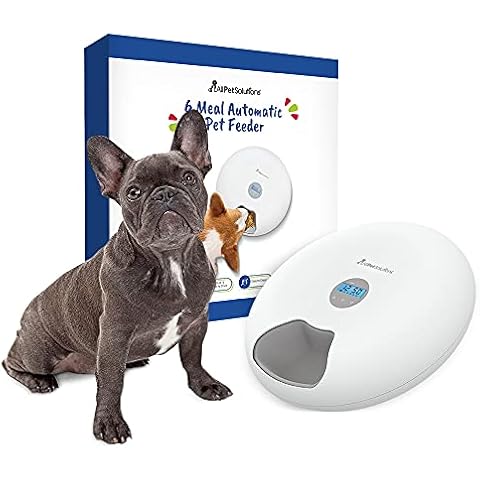Allpetsolutions thumbnail