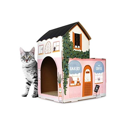 American Cat Club thumbnail