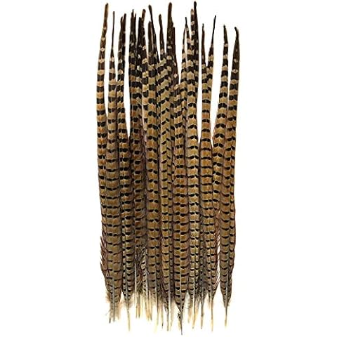 American Feathers thumbnail