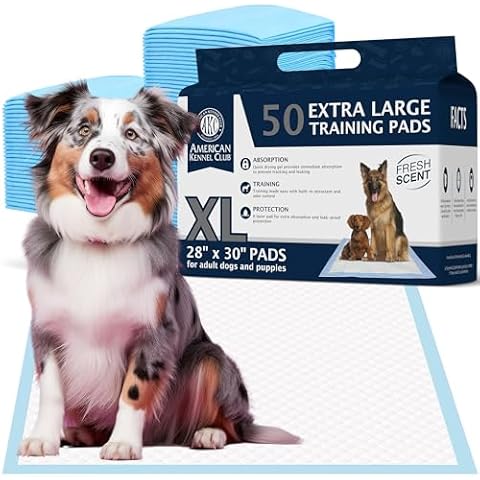 American Kennel Club thumbnail