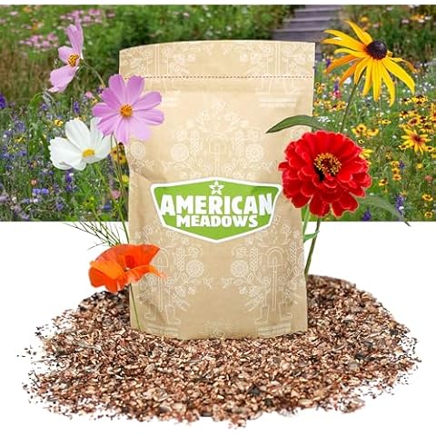 American Meadows thumbnail