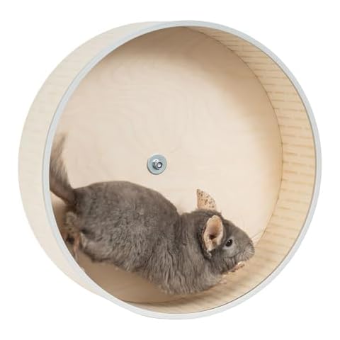 AMIDA Craft feature image