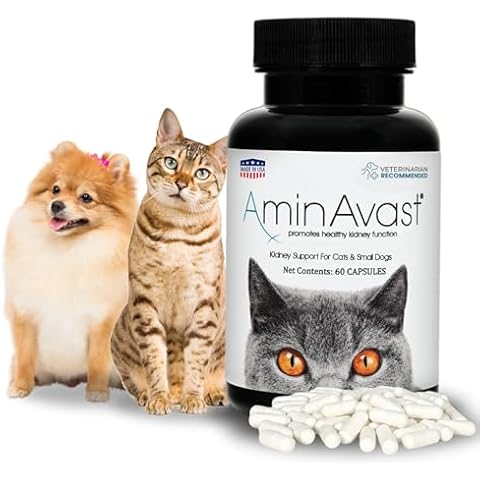 AminAvast thumbnail