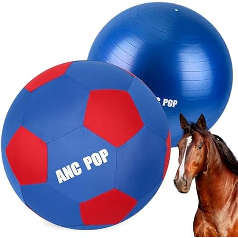 ANC POP thumbnail