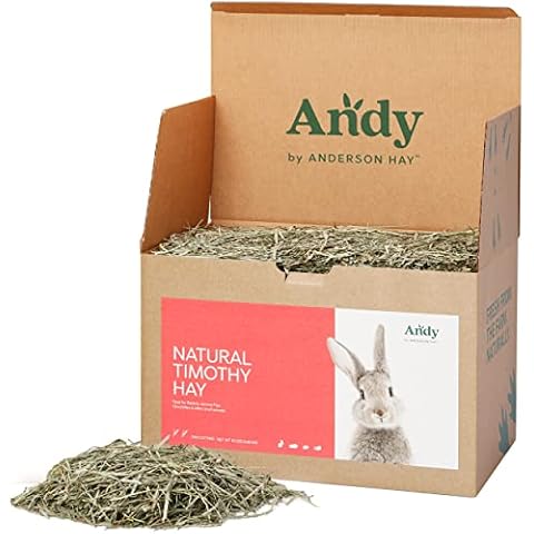 Andy By Anderson Hay thumbnail
