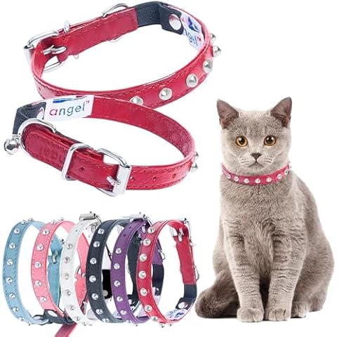 Angel Pet Supplies thumbnail