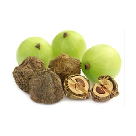 AnNafi feature image