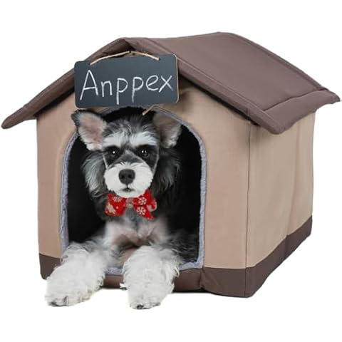 ANPPEX thumbnail