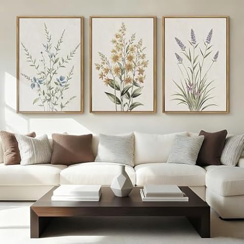 Anyzal feature image