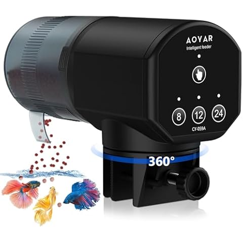 Aoyar feature image