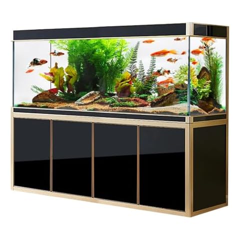 Aqua Dream thumbnail