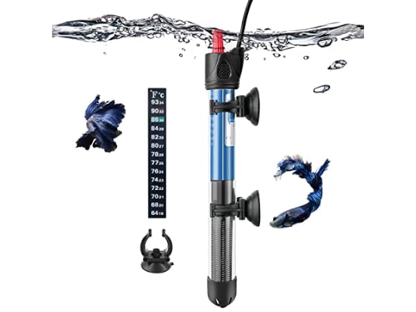 Image showcasing The 8 Best Aquarium Heaters for Reef Tank of 2026 (Reviews) - FindThisBest