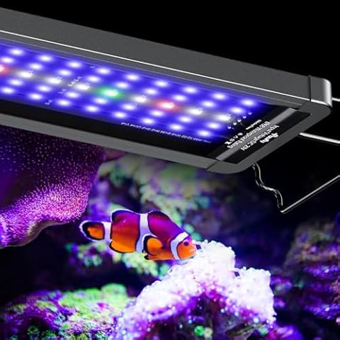 Aquarium Lights for Reef