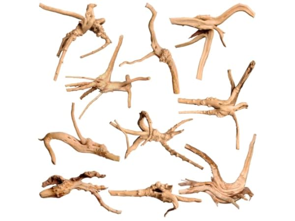 Aquarium Wood Thumbnail