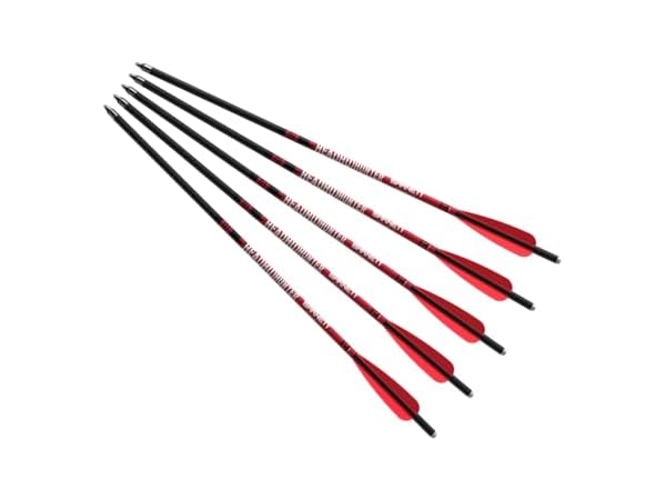 Archery Targeting Arrows Thumbnail