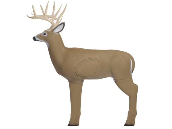 Archery Targets Thumbnail