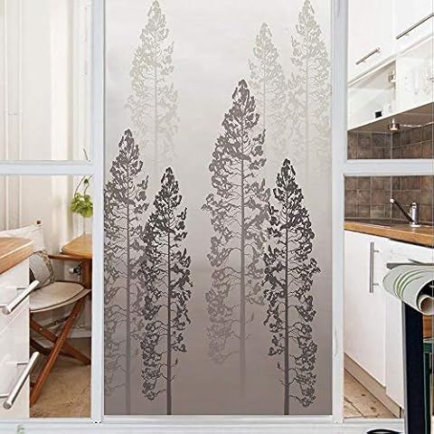 ArnoBernie Window Film thumbnail