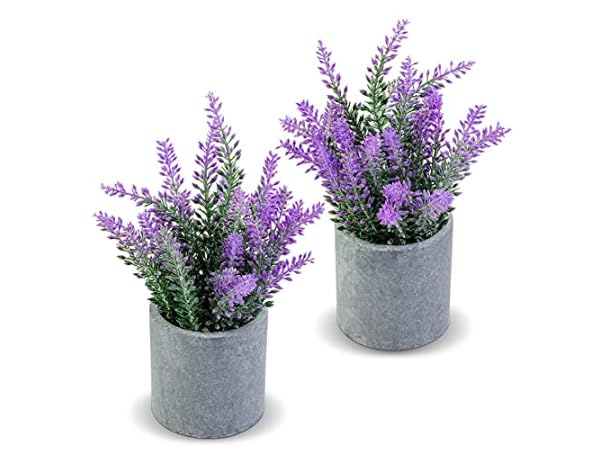 The 10 Best Artificial Flowers for Bathroom of 2024 (Reviews) - FindThisBest
