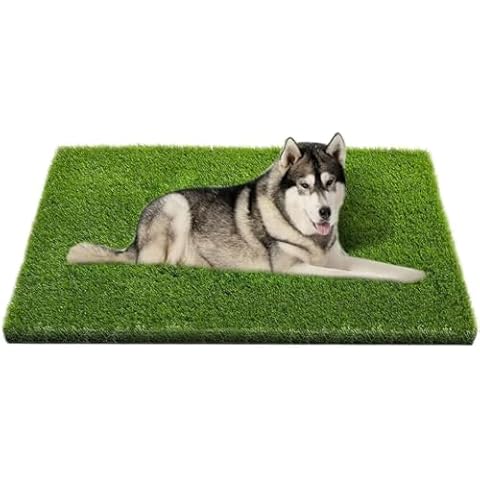 Artificial Grass