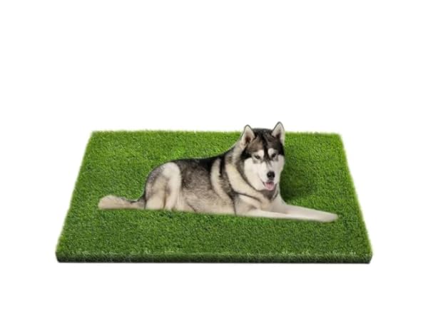 Artificial Grass thumbnail