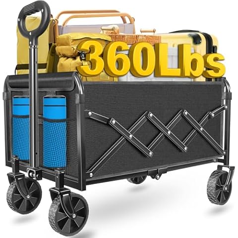 ARTIST'S DREAM feature image