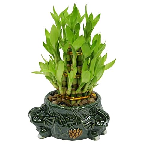 Athena's Garden thumbnail